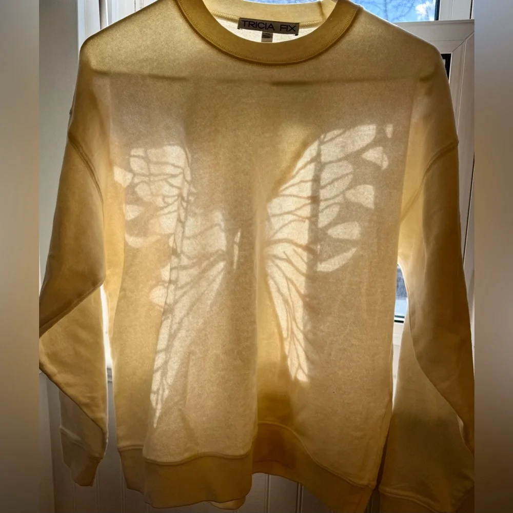 Tricia Fix Free People Exclusive Butterfly Crewneck Sweatshirt in Cream Xs New - Picture 4 of 4